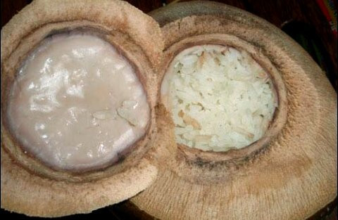 Đặc biệt, nước dừa có vị ngọt, mát, tính bình, có tác dụng tiêu khát, giải độc, giảm mệt nhọc, chữa thổ huyết, phù thũng, trừ phong nhiệt (đó là sự kết hợp giữa phong tà với nhiệt tà mà sinh ra các triệu chứng như phát sốt, nhức đầu, gai rét, sợ gió, ra mồ hôi, tắc mũi, ho, đau rát họng, khát nước, lưỡi đỏ, rêu lưỡi trắng mỏng hay hơi vàng, mạch phù sác),... Hoặc còn nói là thứ bình bổ, mùi vị thơm ngon, giàu dinh dưỡng, nên được mọi người ưa thích. Xem thêm: Những thực phẩm cực tốt cho "đấng mày râu"/ Những loài cá nước ngọt cực tốt cho sức khỏe Đặc biệt, nước dừa có vị ngọt, mát, tính bình, có tác dụng tiêu khát, giải độc, giảm mệt nhọc, chữa thổ huyết, phù thũng, trừ phong nhiệt (đó là sự kết hợp giữa phong tà với nhiệt tà mà sinh ra các triệu chứng như phát sốt, nhức đầu, gai rét, sợ gió, ra mồ hôi, tắc mũi, ho, đau rát họng, khát nước, lưỡi đỏ, rêu lưỡi trắng mỏng hay hơi vàng, mạch phù sác),... Hoặc còn nói là thứ bình bổ, mùi vị thơm ngon, giàu dinh dưỡng, nên được mọi người ưa thích. Xem thêm: Những thực phẩm cực tốt cho "đấng mày râu"/ Những loài cá nước ngọt cực tốt cho sức khỏe