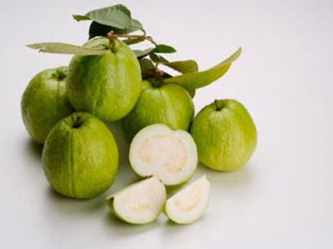 Ổi: Hạt ổi tưởng chừng như không có tác dụng gì cả nhưng thực ra nó lại chứa hai axit béo rất tốt cho cơ thể là omega-3 và omega-6. Quả ổi rất giàu vitamin A, vitamin C và chất xơ giúp tăng cường hoạt động của hệ thống miễn dịch và giữ cho hệ thống tiêu hóa khỏe mạnh. Ổi cũng chứa carotenoids và polyphenols là hai chất chống oxy hóa giúp làm chậm quá trình lão hóa. Ngoài ra, ổi còn được biết như một loại trái cây có tác dụng giảm béo vì ổi chứa hàm lượng calo rất thấp. Xem thêm: Những thực phẩm cực tốt giúp thanh nhiệt, giải độc trong mùa hè (P2) / Điểm mặt một số loại rượu ngâm thảo dược cực tốt cho sức khỏe