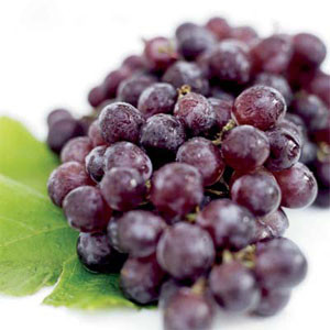 Mười quả nho "đánh bật" trúng gió: Nam giới có tỉ lệ mắc bệnh tim và nguy cơ trúng gió lớn hơn nữ giới. Chỉ cần mỗi ngày kiên trì ăn 10 quả nho, tốt nhất là ăn cả vỏ thì có thể nhẹ nhàng "giải quyết" những vấn đề trên. Xem thêm: Những thực phẩm cực tốt giúp thanh nhiệt, giải độc trong mùa hè (P2) / Điểm mặt một số loại rượu ngâm thảo dược cực tốt cho sức khỏe Mười quả nho "đánh bật" trúng gió: Nam giới có tỉ lệ mắc bệnh tim và nguy cơ trúng gió lớn hơn nữ giới. Chỉ cần mỗi ngày kiên trì ăn 10 quả nho, tốt nhất là ăn cả vỏ thì có thể nhẹ nhàng "giải quyết" những vấn đề trên. Xem thêm: Những thực phẩm cực tốt giúp thanh nhiệt, giải độc trong mùa hè (P2) / Điểm mặt một số loại rượu ngâm thảo dược cực tốt cho sức khỏe