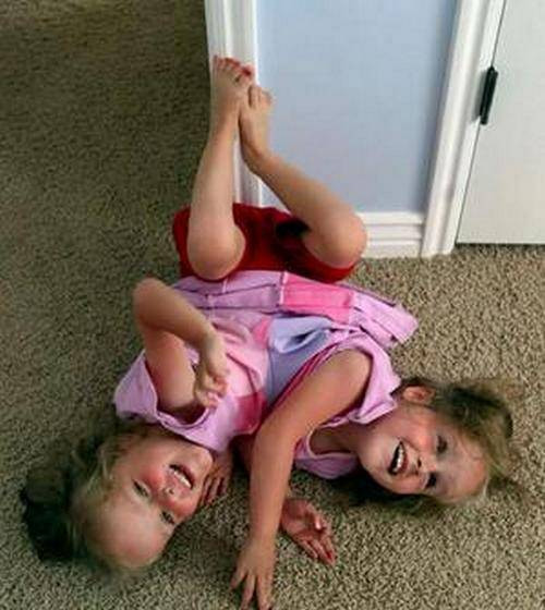 Xem thêm: Những loại quả cực tốt giúp thanh nhiệt, giải độc cho mùa hè.