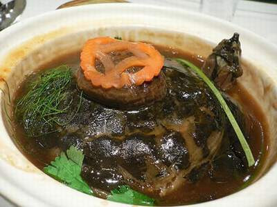 Thịt rùa hầm củ cải đỏ. Thịt rùa hầm củ cải đỏ.