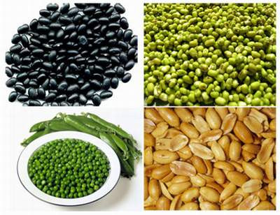 Người bị suy thận mạn không nên ăn nhiều đậu, đỗ. Ảnh: MH Người bị suy thận mạn không nên ăn nhiều đậu, đỗ. Ảnh: MH