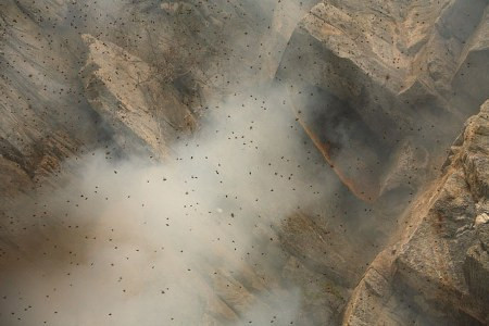 Bị ngạt khói, ong vỡ tổ bay tán loạn ra xung quanh. Bị ngạt khói, ong vỡ tổ bay tán loạn ra xung quanh.