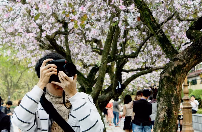 Sắc đẹp của hoa Ban thu hút những tay máy trẻ nghiệp dư.