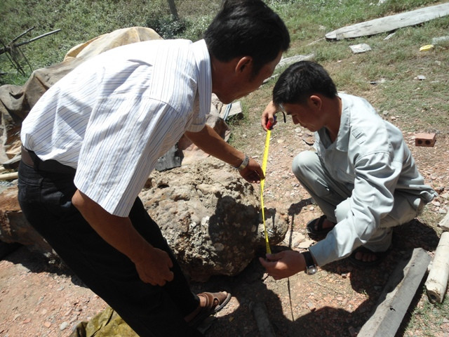 Do bị nằm dưới nước nên hai khẩu thần công trên đã có dấu hiệu hoen gỉ, rêu mốc bám vào nhiều Do bị nằm dưới nước nên hai khẩu thần công trên đã có dấu hiệu hoen gỉ, rêu mốc bám vào nhiều