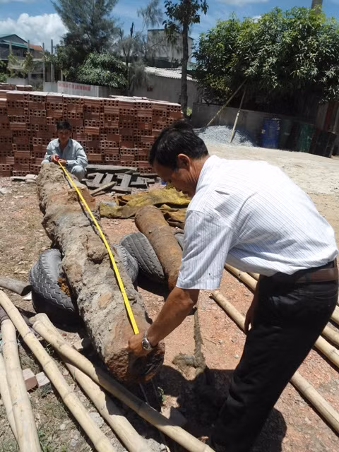 Hai khẩu súng có hình trụ, lớn dần từ miệng đến chuôi súng, có 3 phần rõ rệt gồm nòng, bầu và chuôi.