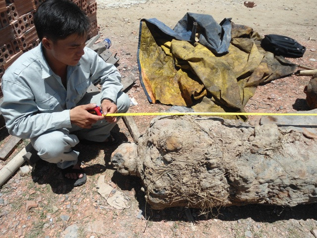 Do bị vùi lấp dưới nước lâu nên hai khẩu súng bị rêu bám đầy, hoen rỉ ở mặt bề ngoài. Do bị vùi lấp dưới nước lâu nên hai khẩu súng bị rêu bám đầy, hoen rỉ ở mặt bề ngoài.