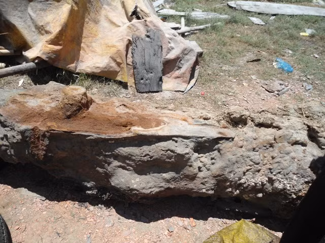 Anh Bình cho biết sẽ hiến tặng hai khẩu súng thần công này lại cho viện bảo tàng nghiên cứu