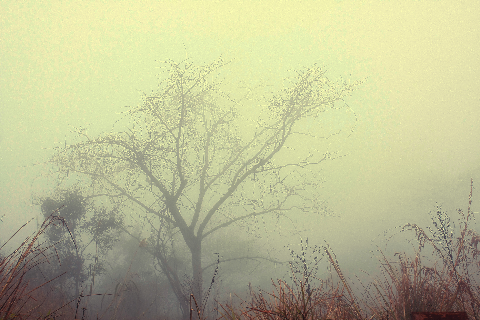 Cảnh sắc như những bức tranh thủy mặc