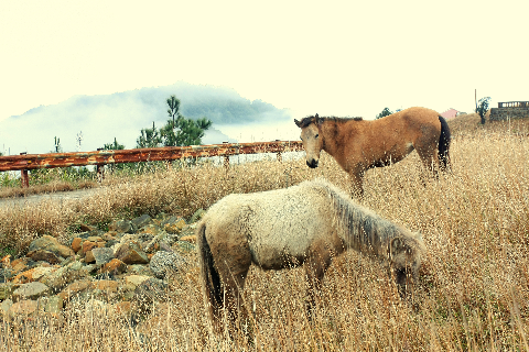 Cảnh vật như muốn níu chân người thành thị.