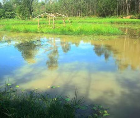 Vụ việc gây xúc động thời gian gần đây là cái chết của ông bố chết đuối vì cứu con trai tại xã Quỳnh Trang huyện Quỳnh Lưu (Nghệ An). Ông Nguyễn Ngọc Bình (52 tuổi) bị liệt bẩm sinh tay trái, gia đình ông rất khó khăn. Sáng hôm đó, nhà hết gạo ăn nên ông Bình cùng con trai Nguyễn Ngọc Đông (8 tuổi) ra đồng mò ốc để đổi gạo. Sau khi mò được túi ốc ở ruộng, hai bố con bàn nhau vượt qua khe nước Mắm để tiếp tục bắt ốc. Vì con trai còn bé nên ông Bình cột túi ốc vào người và cõng con trai sau lưng để bơi qua khe nước. Đang bơi giữa chừng, ông Bình bị nước cuốn trôi một đoạn, liền dùng hết sức bình sinh đưa cậu con trai lên bờ. Còn người cha, vì quá đuối sức nên bị nước cuốn trôi. ( Khe Mắm- nơi ông Bình gặp nạn).