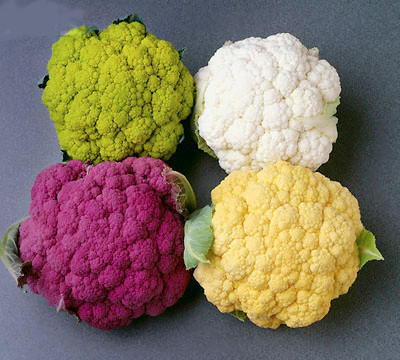 9. Ngực: Súp lơ ngăn ngừa ung thư vú. Theo nghiên cứu của trường Đại học Johns Hopkins (Mỹ), súp lơ tươi có chứa sulforaphane được biết đến như một tác dụng chống ung thư tốt, kích thích cơ thể bài tiết ra enzym có thể ngăn chặn các tế bào ung thư vú. 9. Ngực: Súp lơ ngăn ngừa ung thư vú. Theo nghiên cứu của trường Đại học Johns Hopkins (Mỹ), súp lơ tươi có chứa sulforaphane được biết đến như một tác dụng chống ung thư tốt, kích thích cơ thể bài tiết ra enzym có thể ngăn chặn các tế bào ung thư vú.