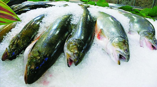 4. Nếu bắt buộc phải ăn thực phẩm đông lạnh, hãy chọn cho mình loại thực phẩm dù có trữ đông lâu dài nhưng vẫn giữ được chất lượng tốt. Ví dụ thay vì nấu một lượng thức ăn lớn, ăn không hết lại trữ đông thì bạn hãy nấu một lượng vừa phải. Thức ăn đã nấu chín để đông đá sẽ không tốt bằng thực phẩm sống đông lạnh. 4. Nếu bắt buộc phải ăn thực phẩm đông lạnh, hãy chọn cho mình loại thực phẩm dù có trữ đông lâu dài nhưng vẫn giữ được chất lượng tốt. Ví dụ thay vì nấu một lượng thức ăn lớn, ăn không hết lại trữ đông thì bạn hãy nấu một lượng vừa phải. Thức ăn đã nấu chín để đông đá sẽ không tốt bằng thực phẩm sống đông lạnh.