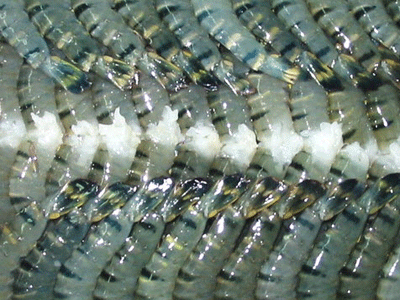 2. Nếu thực phẩm bị mềm ra chứng tỏ nhiệt độ bảo quản vẫn chưa đủ lạnh. Nếu có một lượng lớn bị đóng tuyết, điều đó chứng tỏ thực phẩm đã bị làm đông lạnh nhiều lần. Bạn không nên mua loại thực phẩm này. 2. Nếu thực phẩm bị mềm ra chứng tỏ nhiệt độ bảo quản vẫn chưa đủ lạnh. Nếu có một lượng lớn bị đóng tuyết, điều đó chứng tỏ thực phẩm đã bị làm đông lạnh nhiều lần. Bạn không nên mua loại thực phẩm này.