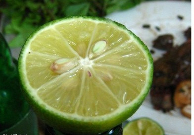 Chữa ho bằng hạt chanh: Lấy 5- 6 hạt chanh, 1 thìa cà phê đường phèn, cho vào cối sạch giã nhuyễn. Hòa thêm một thìa nước lọc vào hỗn hợp trên. Sau đó, cho hỗn hợp nước hạt chanh + đường phèn vào một chiếc bát sạch. Bỏ bát nước đó vào nồi cơm vừa cạn, hấp tới khi cơm chín là dùng được. Để bát nước hạt chanh + đường phèn đã hấp nguội, gạn nước trong và cho bé uống. Mẹ cho bé uống 1-2 thìa cà phê/ lần, 4-6 lần/ ngày. Bé sẽ hết ho và tiêu đờm.