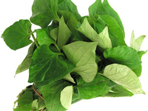 Rau diếp cá và nước vo gạo: Rau diếp cá là một trong những vị thuốc kháng sinh tự nhiên rất hữu dụng. Các mẹ thường ngại cho bé uống vì vị tanh và tính hàn của rau diếp cá. Nhưng rau diếp cá và nước vo gạo lại là phương thuốc chữa ho đặc trị và lành tính.