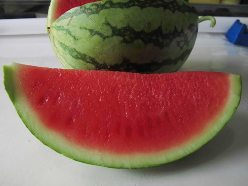 Ảnh: Đ.N.Thạch Ảnh: Đ.N.Thạch