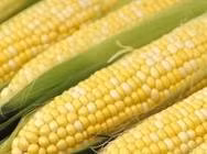 13. Ngô: Ngô được coi là “ngũ cốc vàng” cho việc kéo dài tuổi thọ con người bởi ngô kích thích tiêu hóa và giúp tăng cường chuyển hóa cơ bản. Hơn nữa, trong ngô có chứa nhiều sinh tố tự nhiên nhóm B như B1, B2, B6, Niacin và một số khoáng chất cần thiết khác. Ở loại hạt này, một số vi chất có tỷ lệ vượt trội khi so sánh với gạo lứt. Ngô cũng giúp tăng cường hoạt động của ruột già do tỷ lệ chất xơ cao hơn nhiều so với gạo trắng, mì, sữa... Ảnh: internet