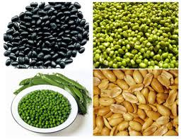 14. Hạt đậu: Là thực phẩm giàu vitamin và chất xơ, có tác dụng tốt đối với các bệnh tim mạch, tiểu đường và ung thư. Các nhà khoa học khuyên bạn không nên bỏ vỏ đậu bởi nó có chứa muối phốtphát . Ảnh: internet 14. Hạt đậu: Là thực phẩm giàu vitamin và chất xơ, có tác dụng tốt đối với các bệnh tim mạch, tiểu đường và ung thư. Các nhà khoa học khuyên bạn không nên bỏ vỏ đậu bởi nó có chứa muối phốtphát . Ảnh: internet