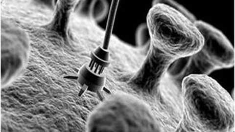 6. Công nghệ nano. Công nghệ nano là ngành công nghệ liên quan đến việc thao tác trên phạm vi nguyên tử hay phân tử, đặc biệt là thiết kế, xây dựng thiết bị kính hiển vi. Những người có bằng công nghệ nano không chỉ được đào tạo quan sát và nghiên cứu vật thể mắt thường không nhìn thấy được mà còn học cách xây dựng sản phẩm mang tính cách mạng: công nghệ mới, cơ sở hạ tầng mới, thậm chí là nói chuyện với robot. Các nhà công nghệ nano giúp chúng ta tạo ra một hành tinh sạch hơn, cuộc sống dễ chịu hơn hay bất cứ thứ gì khác có thể làm cho cuộc sống tốt đẹp hơn. Từ việc phát hiện rệp làm tổ trên giường của chúng ta, đến biết được những gì cần thiết để phóng tên lửa vào trong không gian, cơ hội cho các nhà công nghệ nano luôn rộng mở.