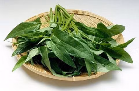 Còn theo đông y, rau muống có vị ngọt, tính hơi lạnh (khi nấu chín thì lạnh giảm) đi vào các kinh tâm, can, tiểu trường, đại trường. Có công năng thanh nhiệt, lương huyết, chỉ huyết, thông đại tiểu tiện, lợi thủy, giải độc khi cơ thể bị xâm nhập các chất độc của nấm độc, cá, thịt độc, khuẩn độc, hoặc độc chất do côn trùng, rắn, rết cắn...