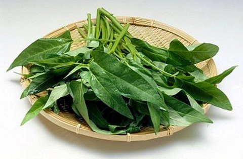 Còn theo đông y, rau muống có vị ngọt, tính hơi lạnh (khi nấu chín thì lạnh giảm) đi vào các kinh tâm, can, tiểu trường, đại trường. Có công năng thanh nhiệt, lương huyết, chỉ huyết, thông đại tiểu tiện, lợi thủy, giải độc khi cơ thể bị xâm nhập các chất độc của nấm độc, cá, thịt độc, khuẩn độc, hoặc độc chất do côn trùng, rắn, rết cắn... Còn theo đông y, rau muống có vị ngọt, tính hơi lạnh (khi nấu chín thì lạnh giảm) đi vào các kinh tâm, can, tiểu trường, đại trường. Có công năng thanh nhiệt, lương huyết, chỉ huyết, thông đại tiểu tiện, lợi thủy, giải độc khi cơ thể bị xâm nhập các chất độc của nấm độc, cá, thịt độc, khuẩn độc, hoặc độc chất do côn trùng, rắn, rết cắn...