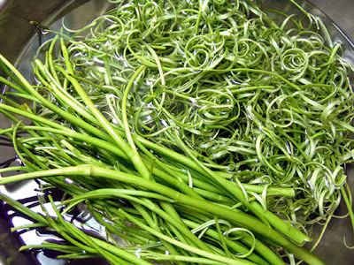 Rau muống là loại thực phẩm gắn liền với cuộc sống của mỗi gia đình người Việt. Rau muống có tên khoa học là Ipomoea aquatica Forsk, thuộc họ khoai lang, có tài liệu gọi là họ bìm bìm (Convolvulaceae).