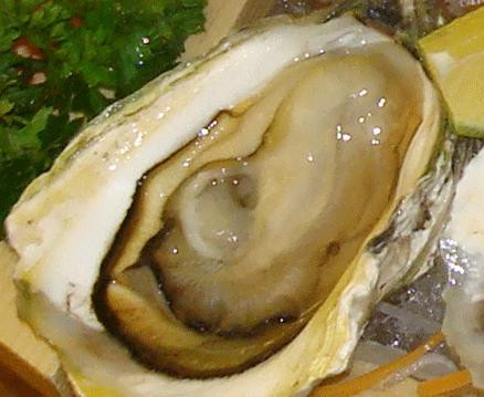 Hơn nữa, ăn con hàu có thể làm tăng nguy cơ phát triển bệnh gout ở nam giới. Nếu bạn thực sự thích ăn con hàu thì bạn nên hạn chế nguy hiểm bằng cách nấu chín để đảm bảo an toàn. Ảnh 24h.com