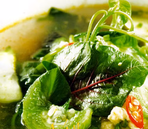 Gọi là canh rau tập tàng vì nó tập hợp đủ thứ rau hái trong vườn từ rau dền, mồng tơi, rau sam, rau diệu, bồ ngót, lá ớt non, lá khổ qua kể cả trái khổ qua còn non, trái bắp vừa nhú còn thơm mùi sữa, trái mướp vừa hái trên giàn.... Xem thêm: Những món cháo ngon/ Những món ăn từ côn trùng
