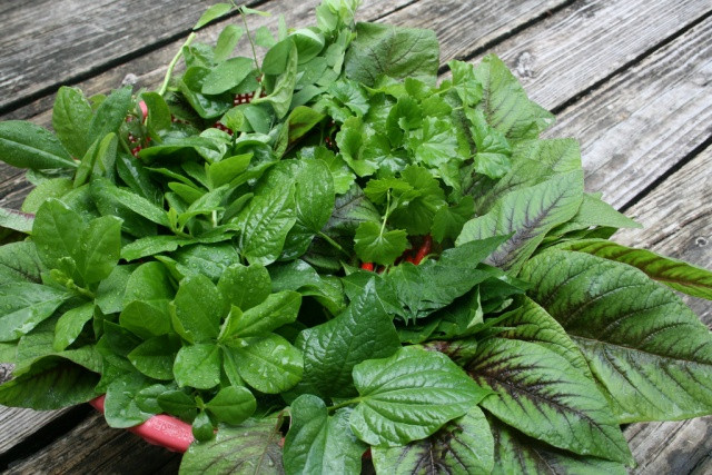 Canh rau tập tàng: Vào những ngày nóng oi bức hay vừa ốm dậy, người ta thường thèm ăn một cái gì nhẹ bụng, vừa mát lại vừa lành. Tô canh tập tàng là một trong những lựa chọn hay nhất mà khi ai đã ra khỏi làng bãi quê nhà vẫn không thể nào quên. Xem thêm: Những món cháo ngon/ Những món ăn từ côn trùng