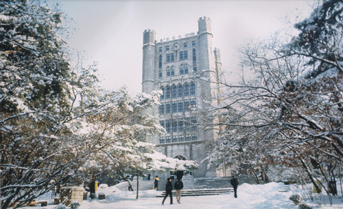 Trường Kyung Hee trắng xóa trong mùa đông lạnh giá Trường Kyung Hee trắng xóa trong mùa đông lạnh giá