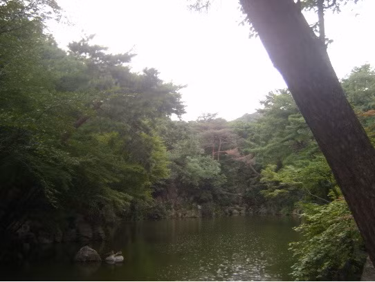 Trong trường còn có một cái hồ với phong cảnh khá đẹp và mát mẻ. Trong trường còn có một cái hồ với phong cảnh khá đẹp và mát mẻ.