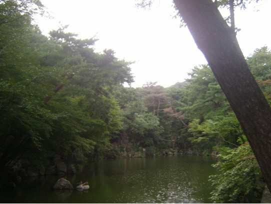 Trong trường còn có một cái hồ với phong cảnh khá đẹp và mát mẻ. Trong trường còn có một cái hồ với phong cảnh khá đẹp và mát mẻ.