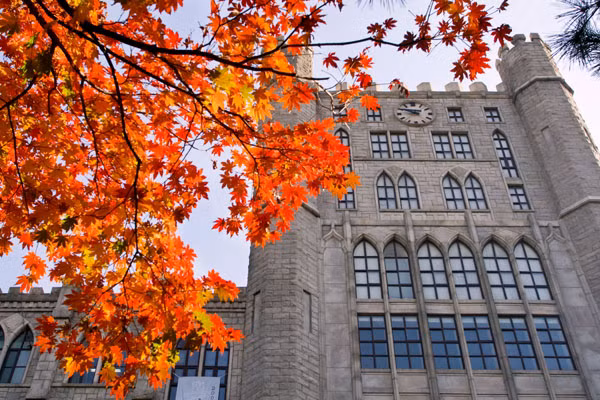 Một góc trường vào mùa thu. Một góc trường vào mùa thu.