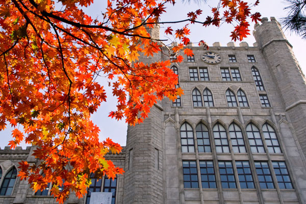 Một góc trường vào mùa thu. Một góc trường vào mùa thu.