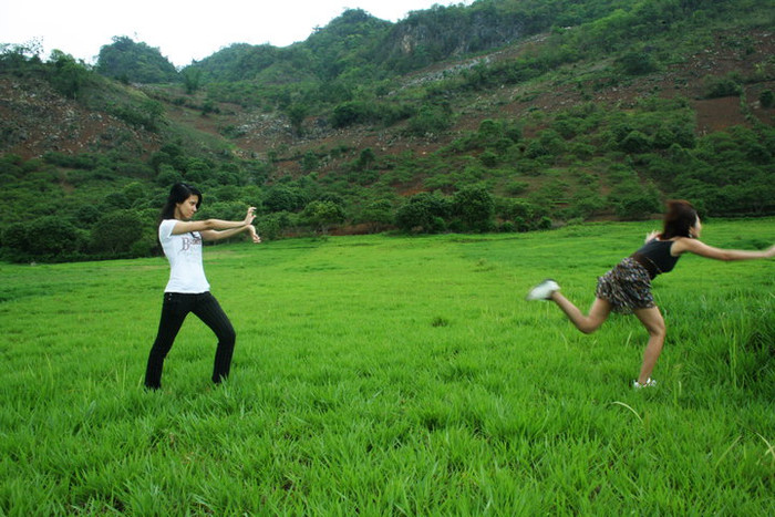 Nhất long thập bát chưởng