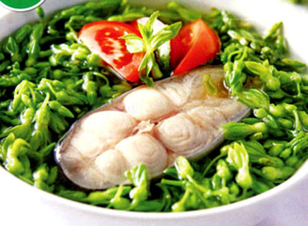 Hoa thiên lý còn gọi là dạ ly hương, không chỉ là nguyên liệu để chế biến món ăn dinh dưỡng mà còn được xem là một bài thuốc. Theo các bài thuốc dân gian, hoa thiên lý rất mát và bổ, trừ được giun kim, giải nhiệt, an thần. Trong thành phần của hoa thiên lý có chất xơ, đạm, các loại vitamin C, B1 và nhiều khoáng chất nên rất tốt cho sức khỏe. Hoa thiên lý còn gọi là dạ ly hương, không chỉ là nguyên liệu để chế biến món ăn dinh dưỡng mà còn được xem là một bài thuốc. Theo các bài thuốc dân gian, hoa thiên lý rất mát và bổ, trừ được giun kim, giải nhiệt, an thần. Trong thành phần của hoa thiên lý có chất xơ, đạm, các loại vitamin C, B1 và nhiều khoáng chất nên rất tốt cho sức khỏe.