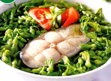 Hoa thiên lý còn gọi là dạ ly hương, không chỉ là nguyên liệu để chế biến món ăn dinh dưỡng mà còn được xem là một bài thuốc. Theo các bài thuốc dân gian, hoa thiên lý rất mát và bổ, trừ được giun kim, giải nhiệt, an thần. Trong thành phần của hoa thiên lý có chất xơ, đạm, các loại vitamin C, B1 và nhiều khoáng chất nên rất tốt cho sức khỏe.