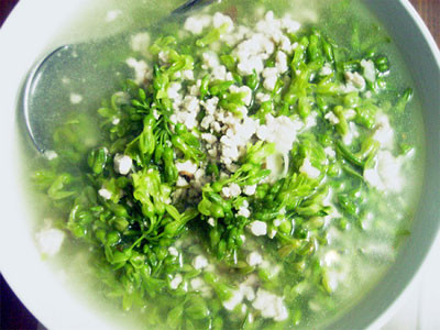 Hoa thiên lý: Bạn có thể chế biến nhiều món ăn từ hoa thiên lý. Vị ngọt của hoa thiên lý rất hợp để nấu các món canh đơn giản với thịt lợn, xương hay hầm với giò lợn rất ngon. Hoa thiên lý nấu cua cũng là một món ăn khá lạ miệng. Ngoài ra, hoa thiên lý xào thịt bò hay dùng chung với các món lẩu cũng rất đặc sắc. Hoa thiên lý: Bạn có thể chế biến nhiều món ăn từ hoa thiên lý. Vị ngọt của hoa thiên lý rất hợp để nấu các món canh đơn giản với thịt lợn, xương hay hầm với giò lợn rất ngon. Hoa thiên lý nấu cua cũng là một món ăn khá lạ miệng. Ngoài ra, hoa thiên lý xào thịt bò hay dùng chung với các món lẩu cũng rất đặc sắc.