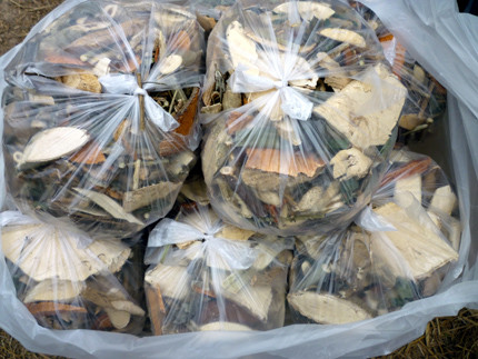 Ảnh minh họa (Nguồn Internet) Ảnh minh họa (Nguồn Internet)