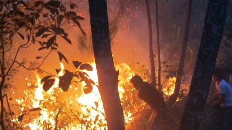 Đám cháy xảy ra tại khu vực núi Dũng Quyết - nơi đặt đền thờ vua Quang Trung