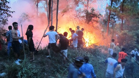 Hàng nghìn người dân đã được điều động tham gia chữa cháy