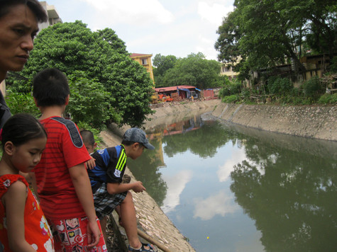 Một số người dân ở đây cho biết, họ bắt đầu phát hiện ra rất nhiều cá nổi lên mặt nước đoạn gần cầu Trung Tự trên phố Phạm Ngọc Thạch (Đống Đa, Hà Nội) từ khoảng 6h sáng ngày 23/7.