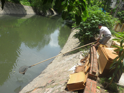 Theo suy đoán của những người dân sống gần đó thì nguyên nhân dẫn đến sự xuất hiện "bất thường" một lượng cá lớn trên dòng sông Tô Lịch rất có thể là do trận mưa lớn tối 22/7 đã làm một số ao, hồ có cống nối thông ra sông Tô Lịch đã bị tràn và vỡ chắn khiến các loại cá cứ theo đó mà bơi ra sông.