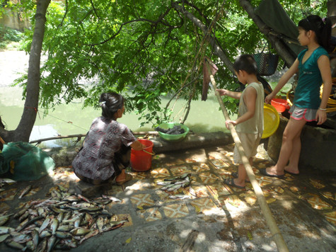 Đủ mọi thành viên, lứa tuổi tham gia việc vớt cá.
