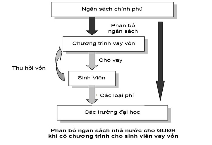 Hình 10- Phân bổ ngân sách Nhà nước cho giáo dục đại học.