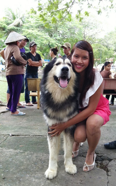 Alaskan Malamute đã được phát triển ở Alaska từ rất lâu đời, trước khi Alaska trở thành 1 bang của Hiệp Chủng Quốc Hoa Kỳ và ngẫu nhiên thì chúng trở thành một giống chó Mỹ. Khi những người Nga khám phá ra vùng Bắc Cực băng giá này họ cũng có nói đến giống chó Malamute này để so sánh với giống Siberian Husky của họ (Ảnh: Internet). Alaskan Malamute đã được phát triển ở Alaska từ rất lâu đời, trước khi Alaska trở thành 1 bang của Hiệp Chủng Quốc Hoa Kỳ và ngẫu nhiên thì chúng trở thành một giống chó Mỹ. Khi những người Nga khám phá ra vùng Bắc Cực băng giá này họ cũng có nói đến giống chó Malamute này để so sánh với giống Siberian Husky của họ (Ảnh: Internet).