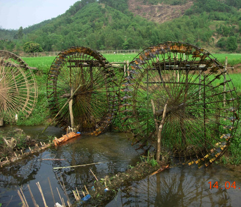 Trước khi đặt cọn nước, người ta phải đắp những con đập nhỏ. Đập cấu tạo bằng hàng cọc tre, đóng chắc xuống lòng suối theo hình vòng cung, chắn ngang dòng chảy. Mặt đập thưa, cao gần một mét bện bằng cỏ guột, một loài cỏ cứng rất bền khi ngâm nước. Đập không chặn hoàn toàn mà chỉ hướng một phần thế năng của dòng chảy về phía cọn nước (Ảnh: Internet).