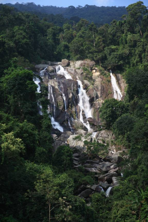 Cáp treo Tây Thiên được đưa vào hoạt động từ ngày 16/2 và sẽ khai trương vào dịp khai hội Tây Thiên ngày 15/2 âm lịch (tức 7/3). Núi rừng Tây Thiên và dòng Thác Bạc đẹp như mơ được chụp từ độ cao 200 mét của tuyến cáp treo. Cáp treo Tây Thiên được đưa vào hoạt động từ ngày 16/2 và sẽ khai trương vào dịp khai hội Tây Thiên ngày 15/2 âm lịch (tức 7/3). Núi rừng Tây Thiên và dòng Thác Bạc đẹp như mơ được chụp từ độ cao 200 mét của tuyến cáp treo.