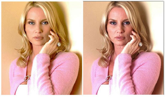 Nicollette Sheridan